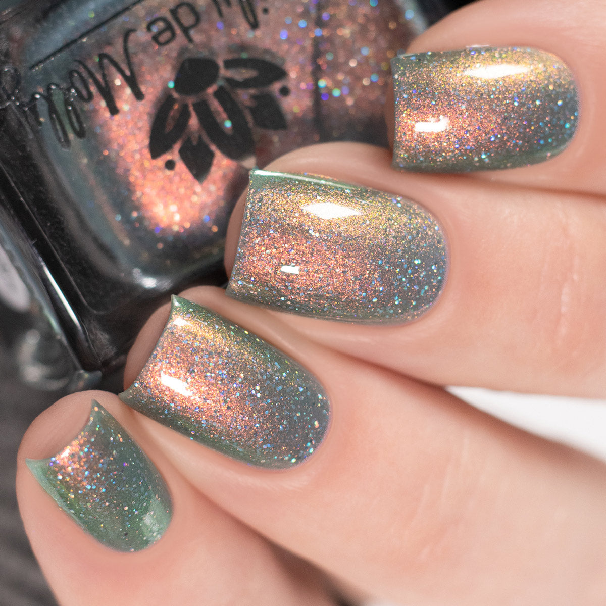 Riot Of Shadows