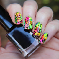 Bright Sheer tints