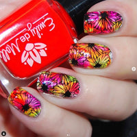 Bright Sheer tints