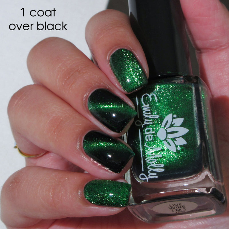 Live Wire - PREORDER