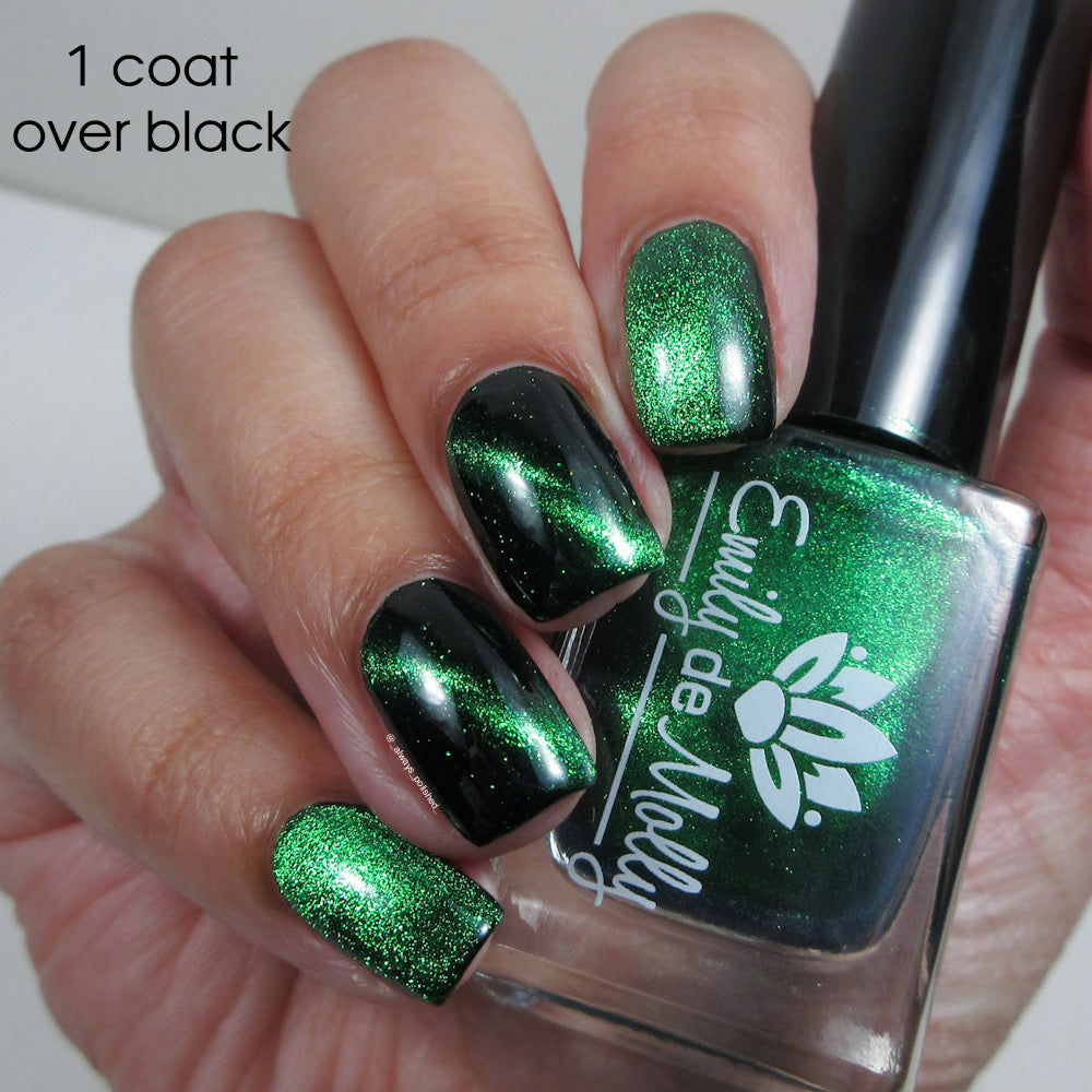 Live Wire - PREORDER