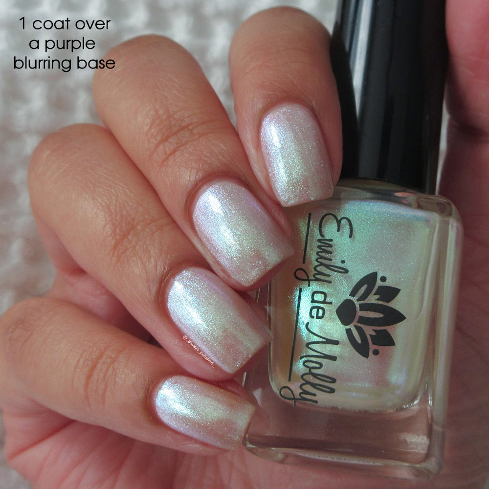 Transport - PREORDER