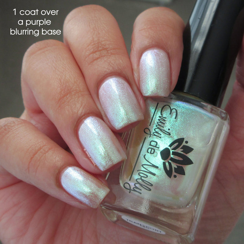 Transport - PREORDER