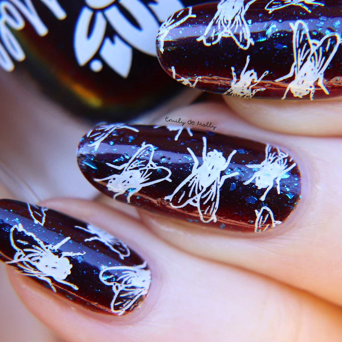 EDM46 Nail Stamping Plate – EmilydeMolly