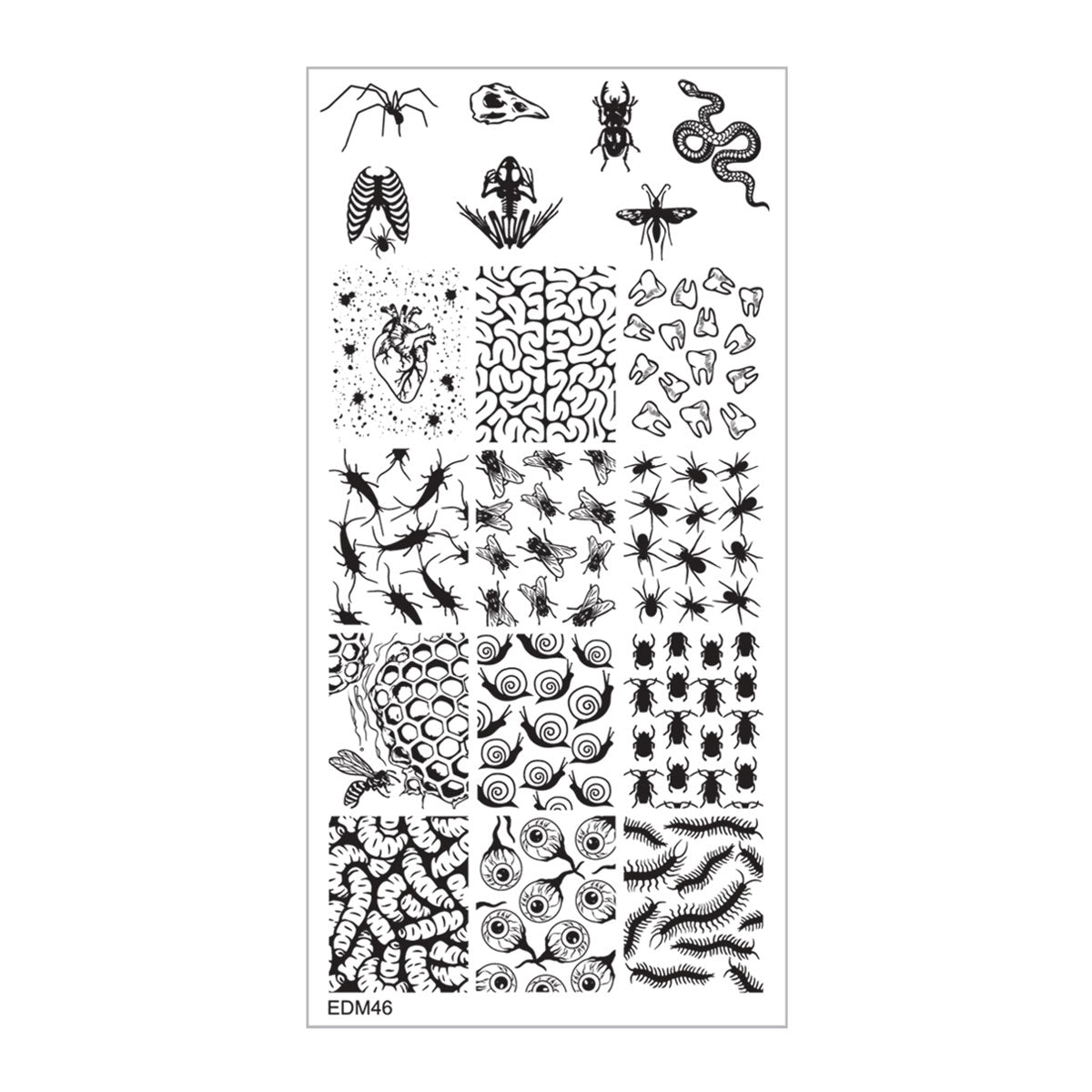 Dandelion Nail Art Stamping Plate