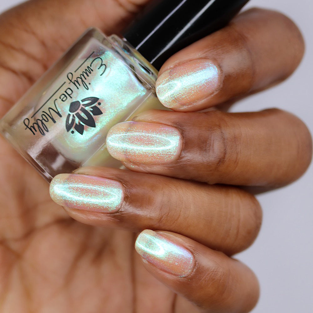 Transport - PREORDER