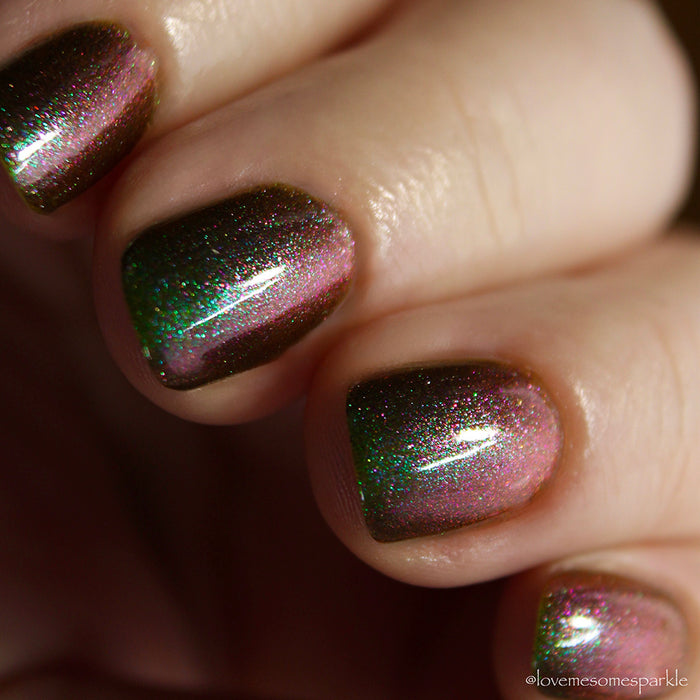 Brace For The Fallout