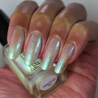 Transport - PREORDER