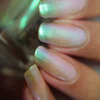 Transport - PREORDER