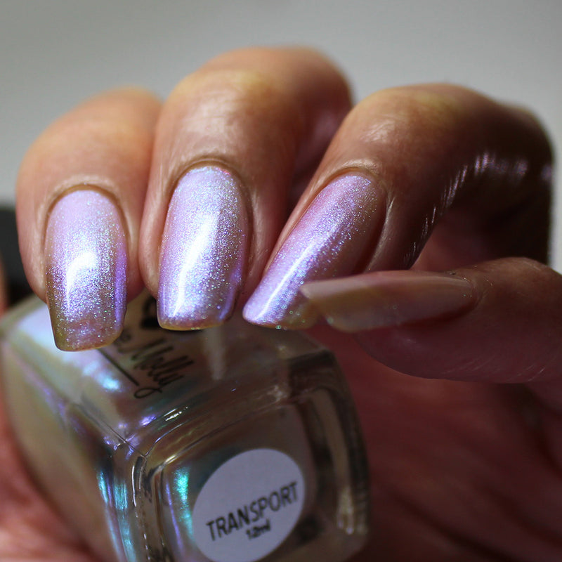 Transport - PREORDER