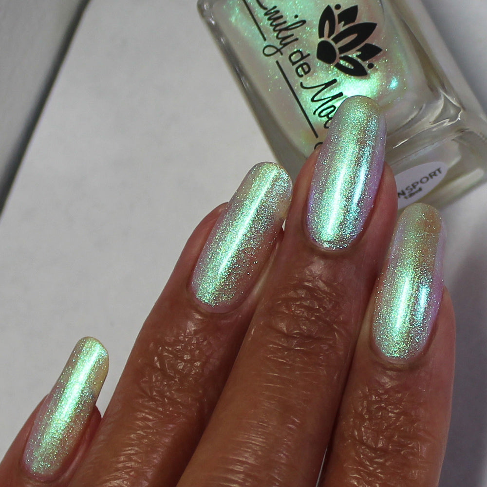 Transport - PREORDER