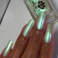 Transport - PREORDER