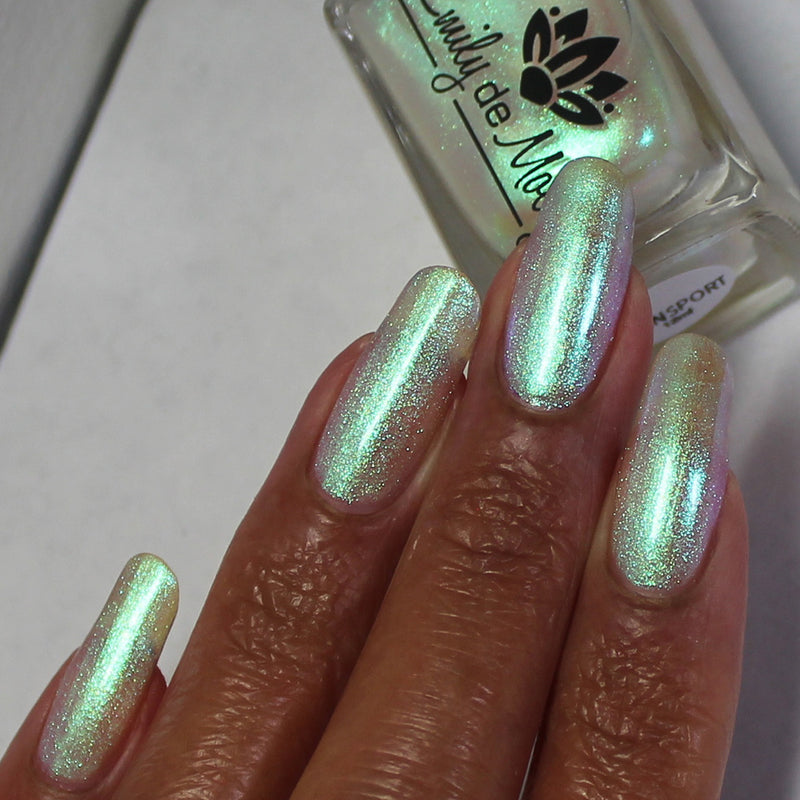 Transport - PREORDER