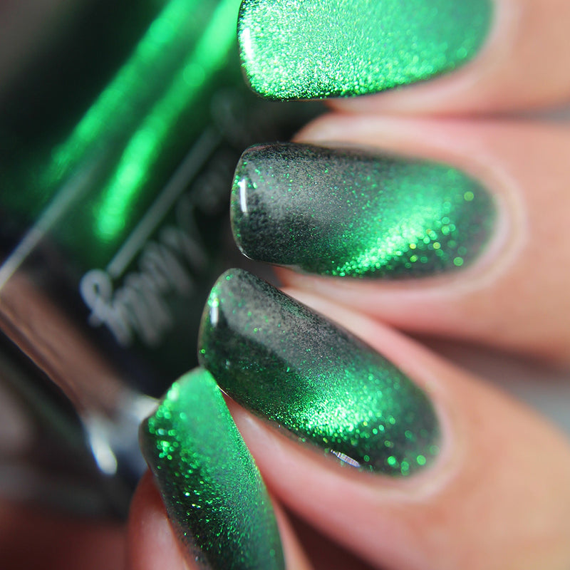 Live Wire - PREORDER