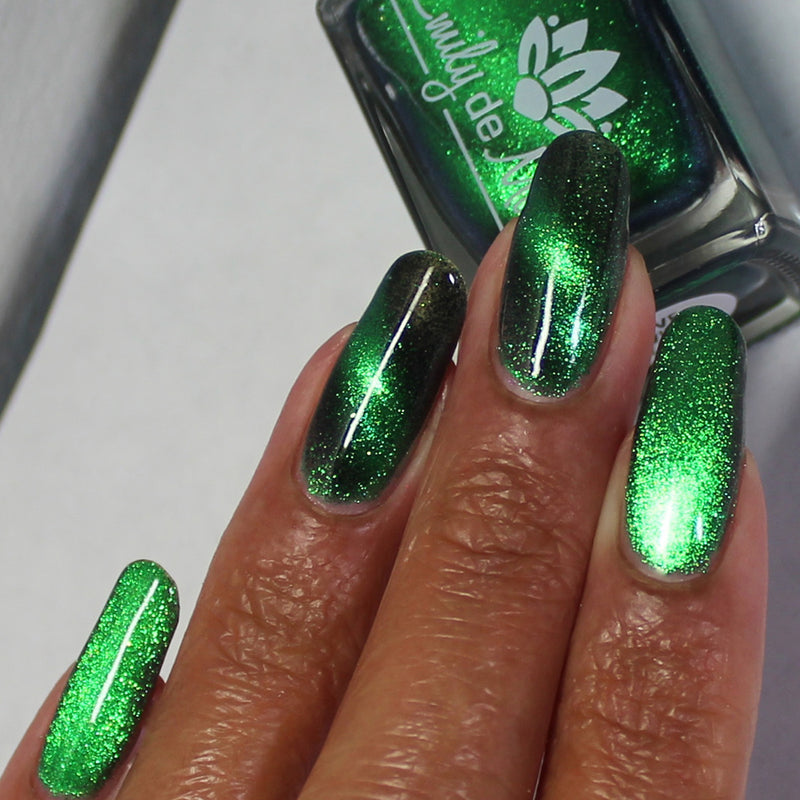 Live Wire - PREORDER