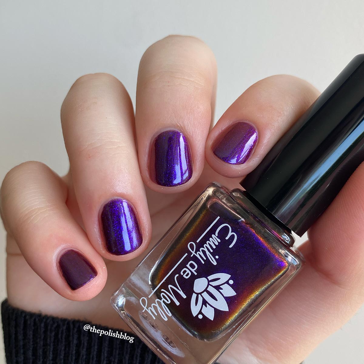 Desperate Times multichrome nail polish – EmilydeMolly