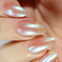 Transport - PREORDER