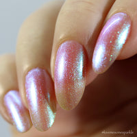 Transport - PREORDER