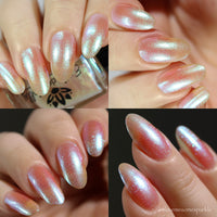 Transport - PREORDER