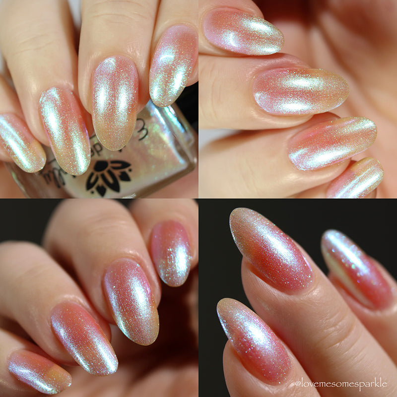 Transport - PREORDER