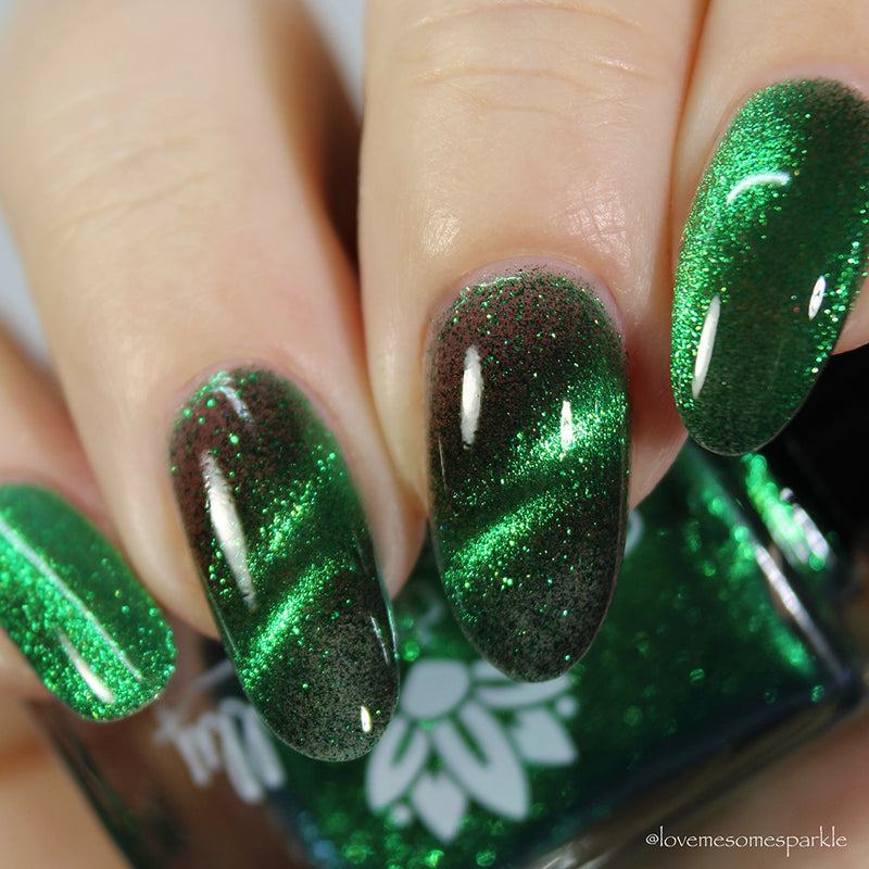 Live Wire - PREORDER