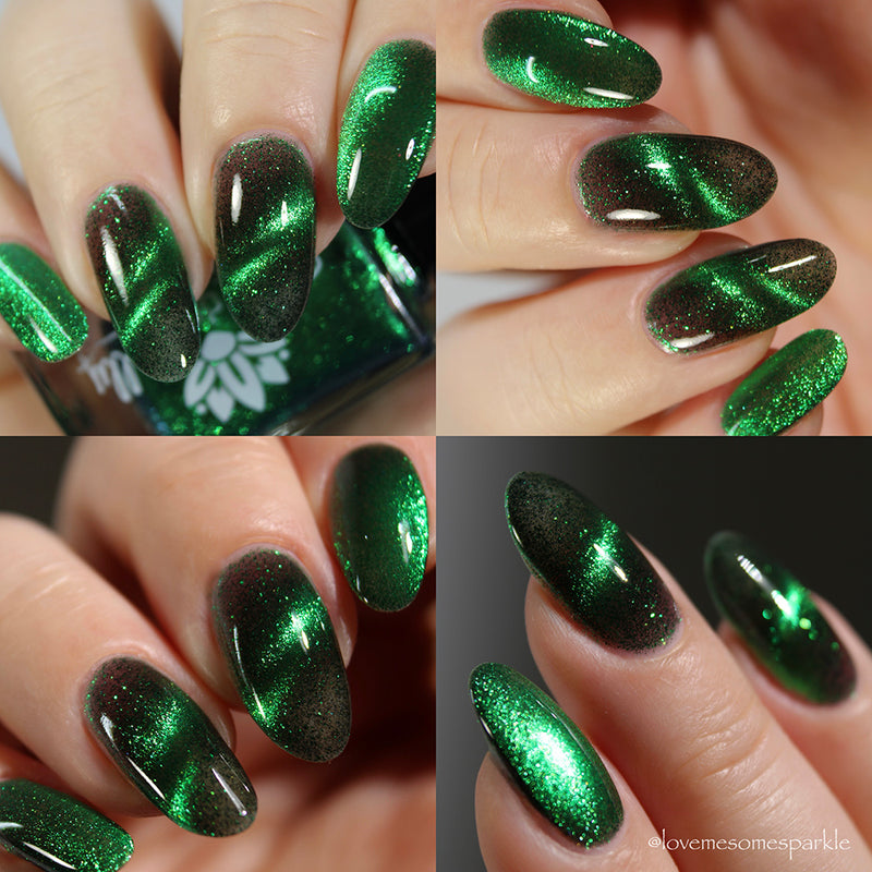 Live Wire - PREORDER