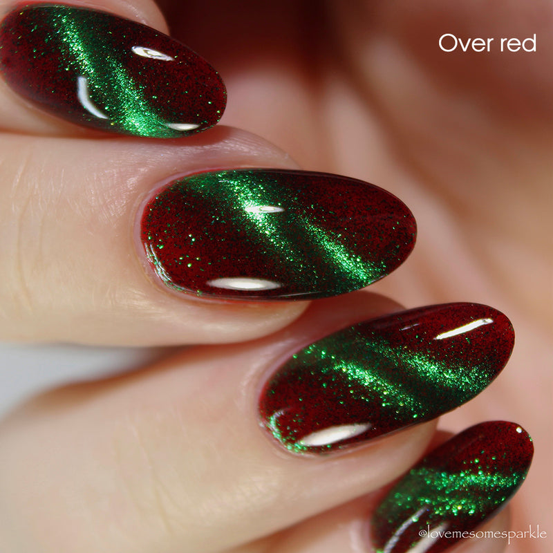 Live Wire - PREORDER