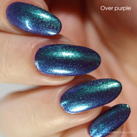 Transport - PREORDER