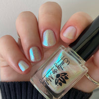 Transport - PREORDER