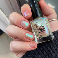 Transport - PREORDER