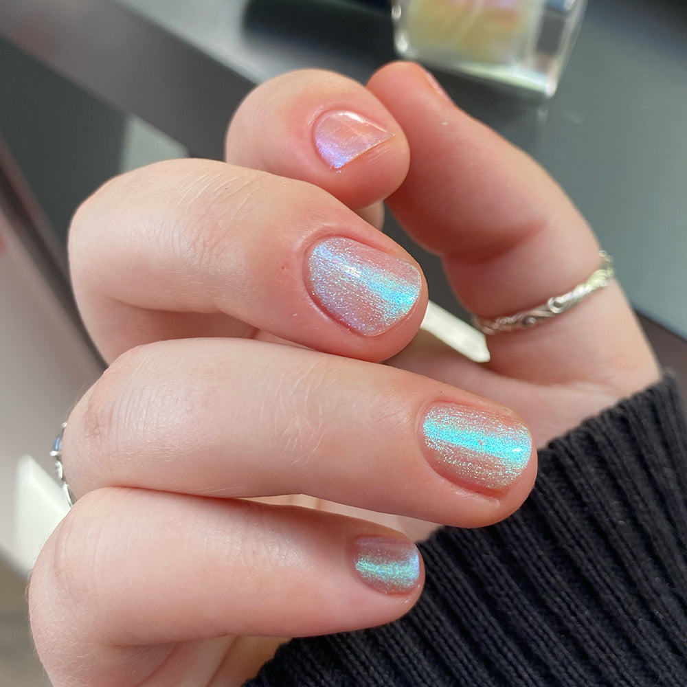 Transport - PREORDER