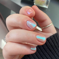 Transport - PREORDER