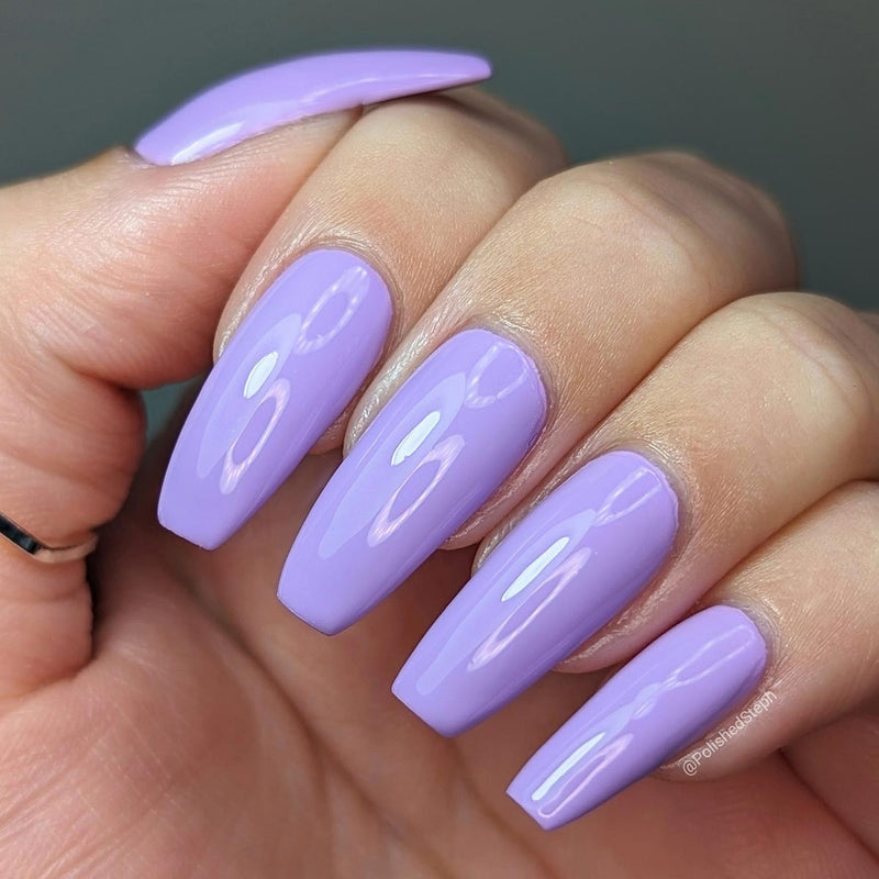 Lilac Obsession