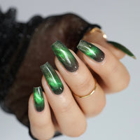 Live Wire - PREORDER