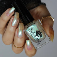 Transport - PREORDER