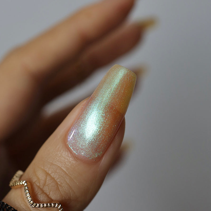 Transport - PREORDER