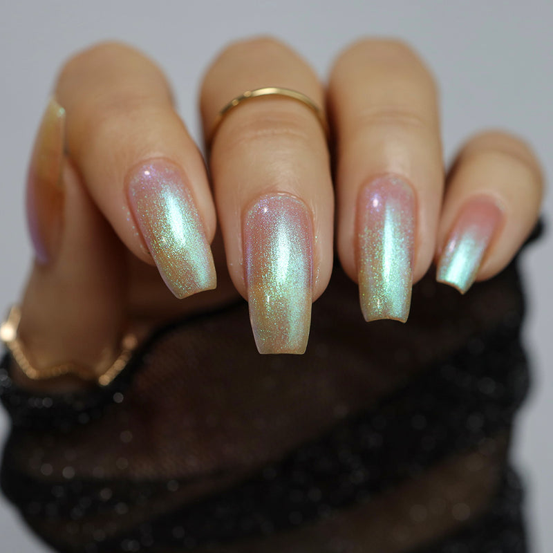 Transport - PREORDER