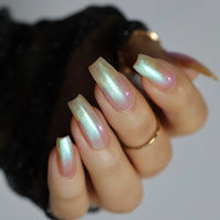 Transport - PREORDER