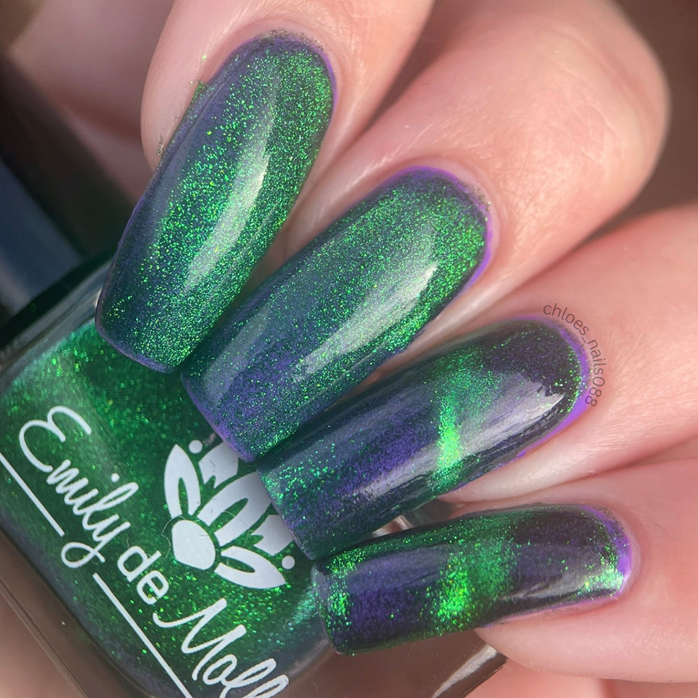 Live Wire - PREORDER