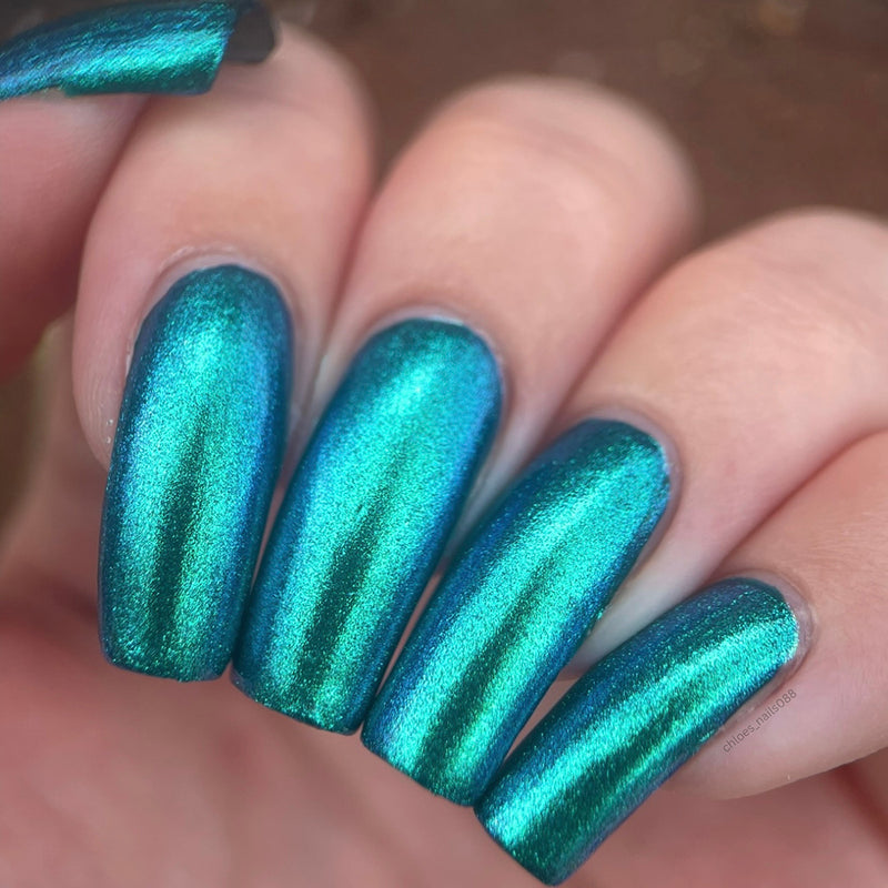 Transport - PREORDER