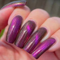Royal Flame