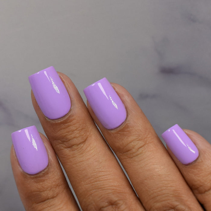 Lilac Obsession