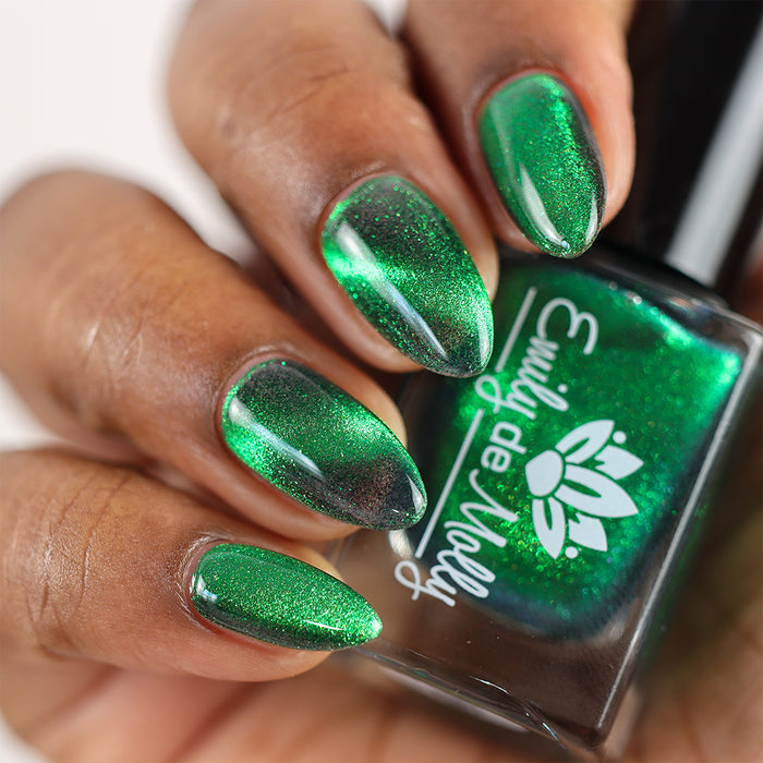 Live Wire - PREORDER