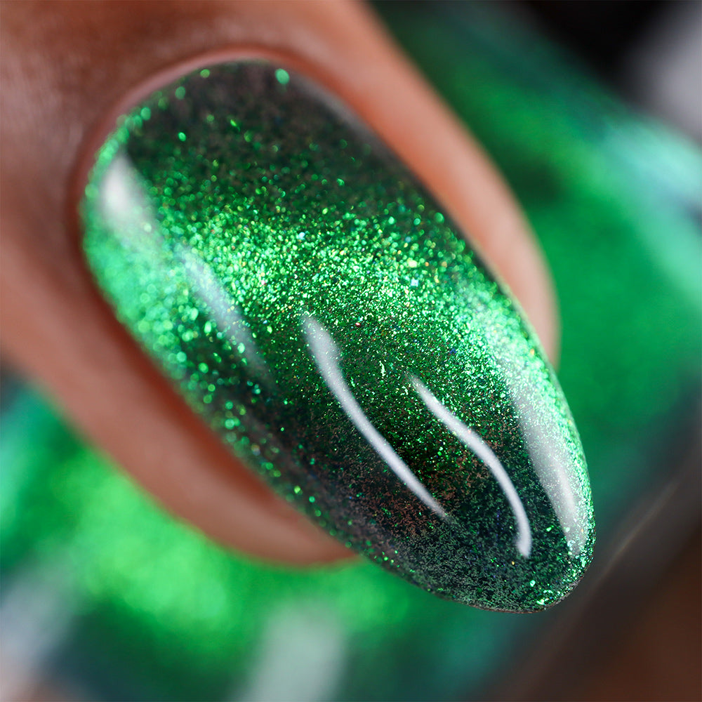 Live Wire - PREORDER