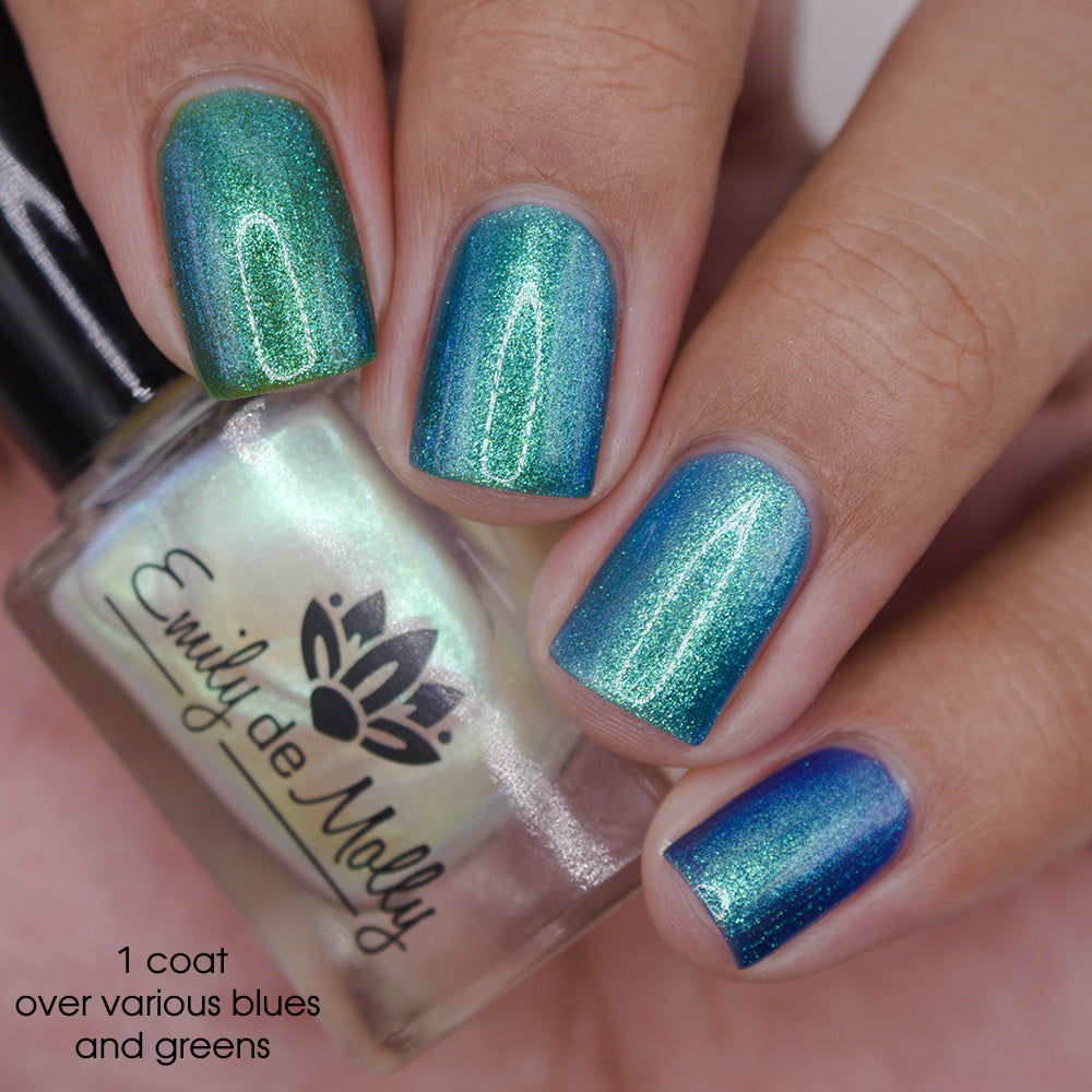 Transport - PREORDER