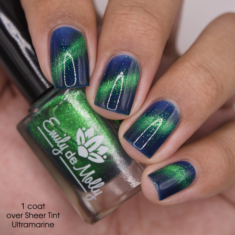 Live Wire - PREORDER