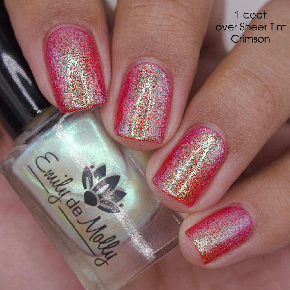 Transport - PREORDER