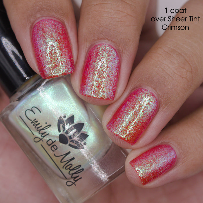 Transport - PREORDER