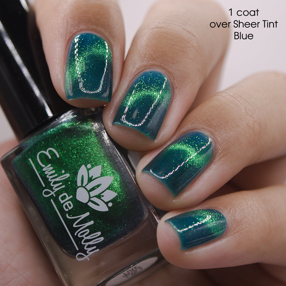 Live Wire - PREORDER