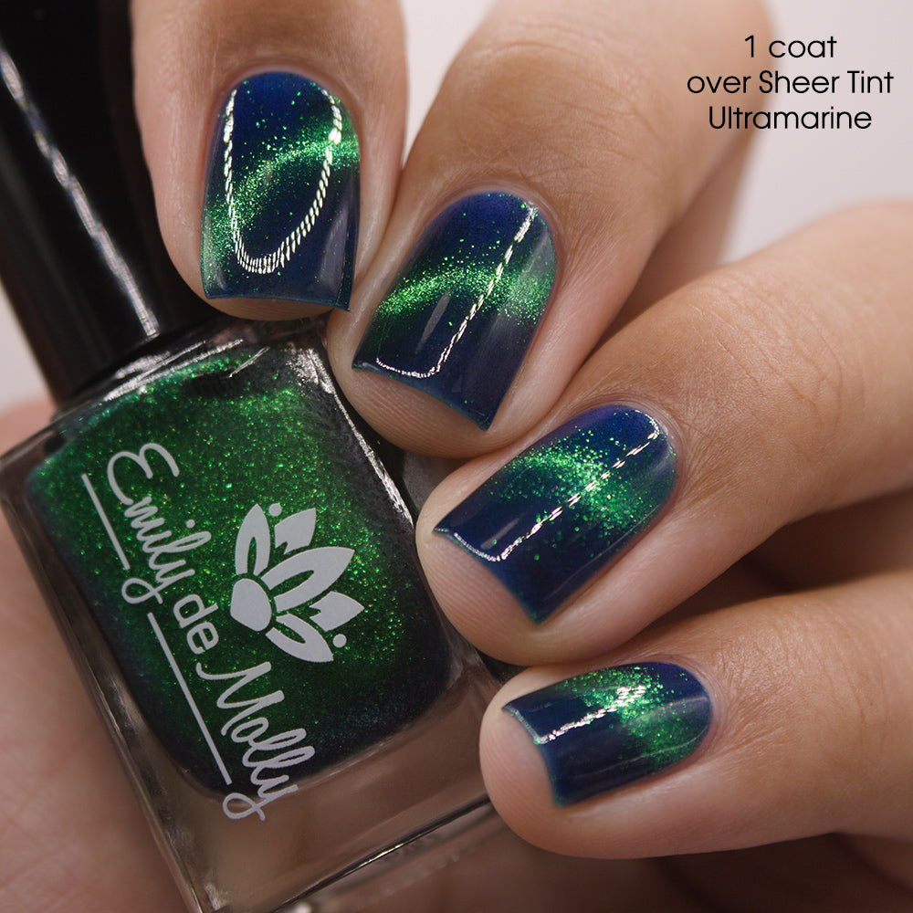 Live Wire - PREORDER